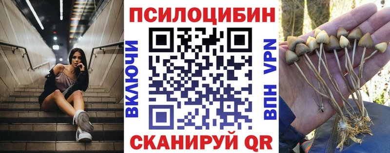 Купить  Моршанск  Псилоцибиновые грибы ЛСД 